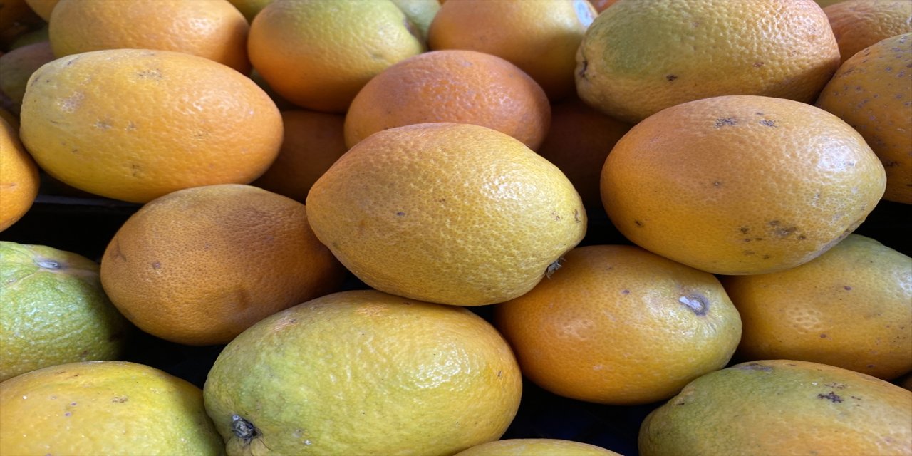 Akdeniz İhracatçı Birlikleri verilerine göre, yılın ocak-haziran döneminde yurt dışına 935 bin 530 ton turunçgil satıldı.