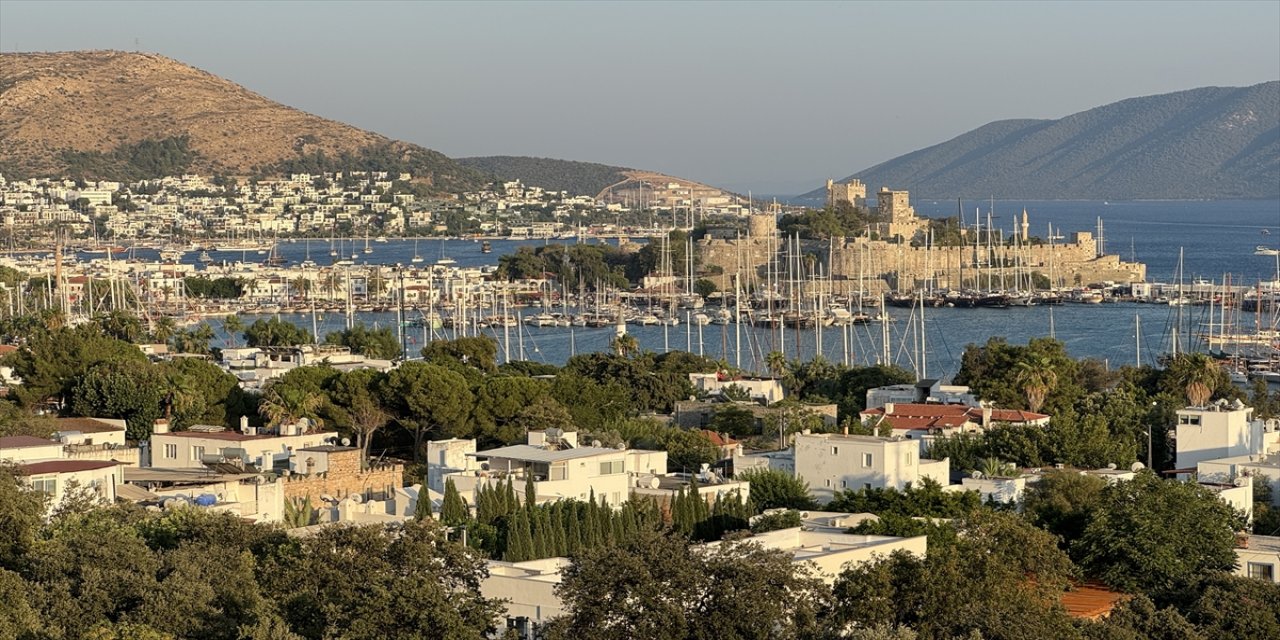 "İnsanlar gece hem rahat hem de serin bir ortamda geziyor."