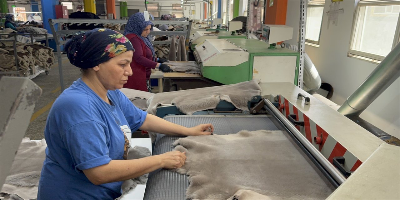 "Yurt dışında ürünlere ciddi merak var. Fuarlara katılıyor ve ürünlerimizi sunuyoruz."