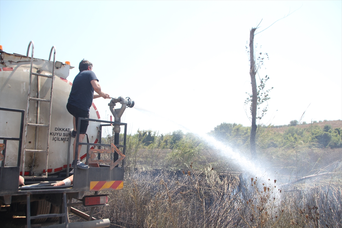 Antalya'da sazlık alanda çıkıp tarım arazisine sıçrayan yangın söndürüldü
