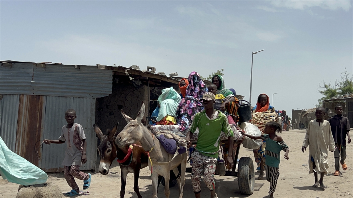 Nijerya'nın Rann bölgesinde eşekler günlük hayatın vazgeçilmezleri arasında