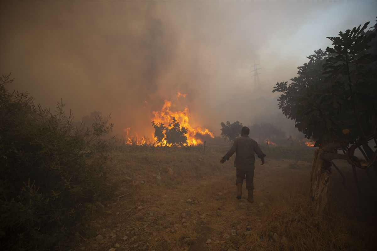 Aydın Germencik'te zeytinlik ve ormanlık alanda çıkan yangına müdahale ediliyor