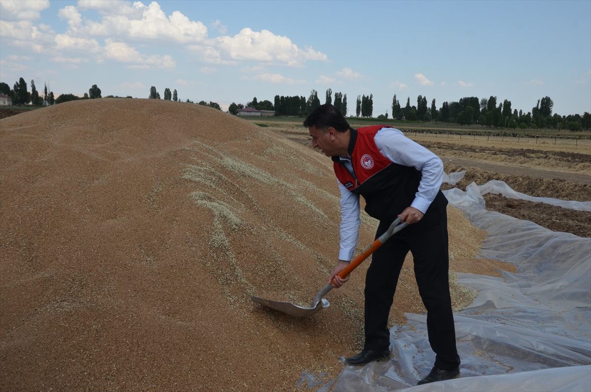 Muş'ta yüksek rekolte çiftçileri sevindirdi