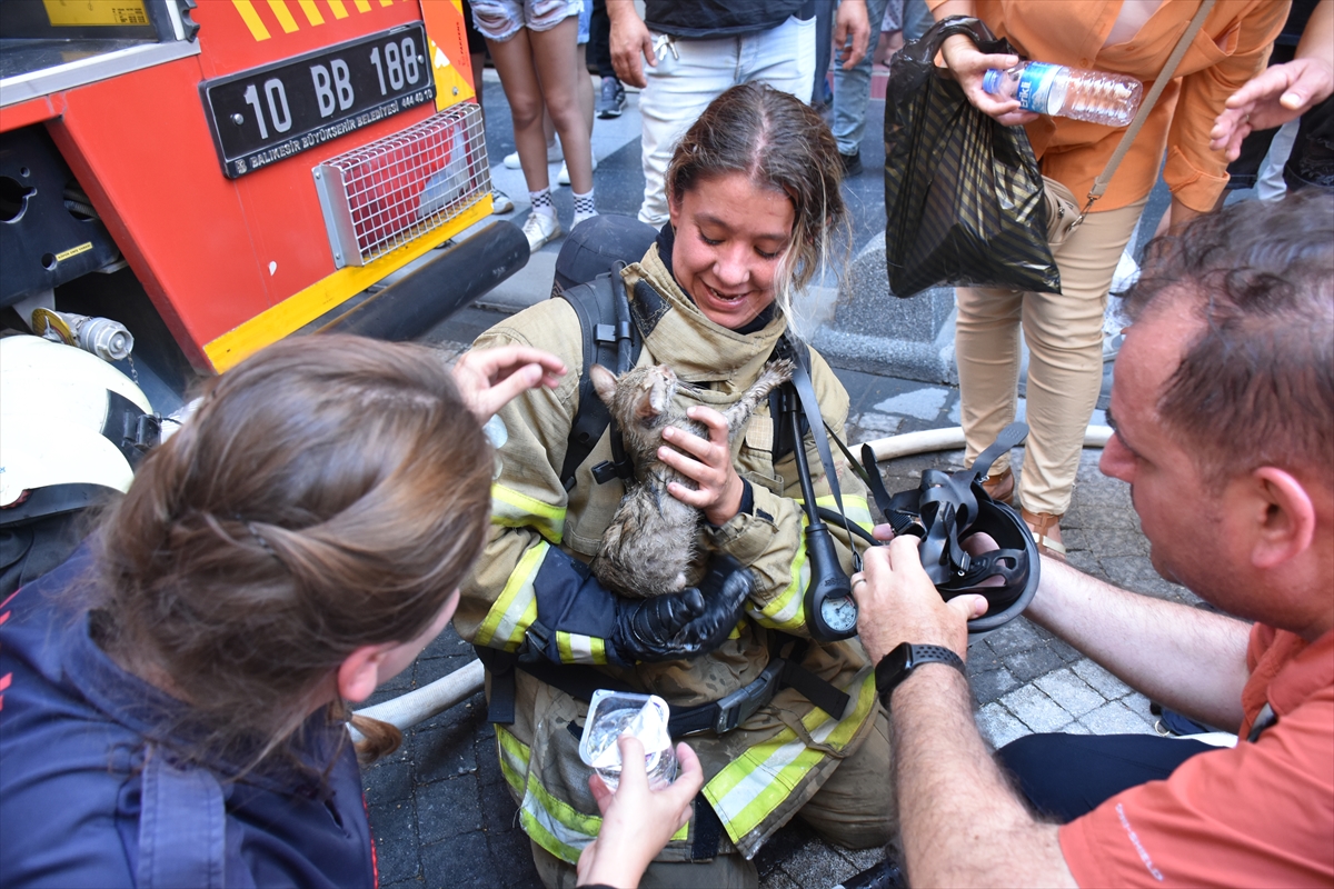 Balıkesir'de yangından kurtarılan kedi yavrusu "Biber" sahibine teslim edildi