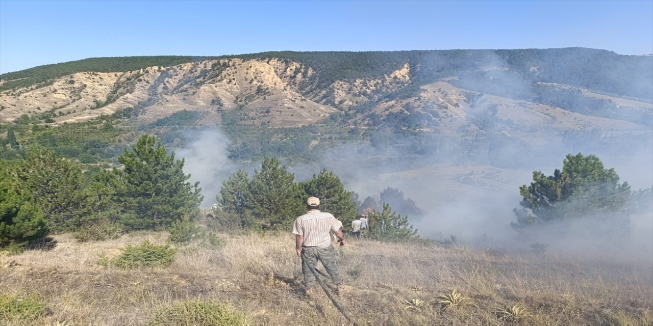 Konya'nın Doğanhisar ilçesinde ormanlık alanda çıkan yangın söndürüldü.