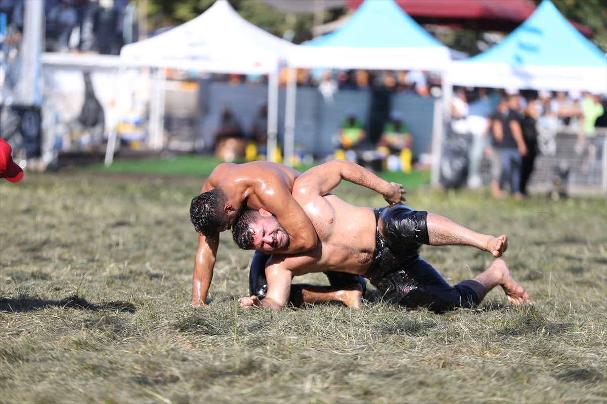 Geleneksel Kurtdereli Yağlı Güreşleri'nin başpehlivanı Enes Doğan oldu