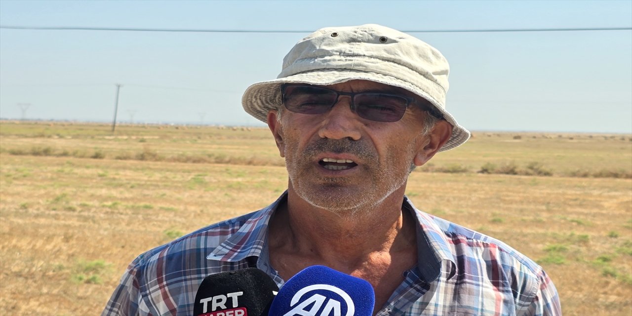 "Katliamın üzerinden 50 yıl geçti. Şimdi 'biz yaptık' diyebiliyorlar, bu biraz düşündürücü."