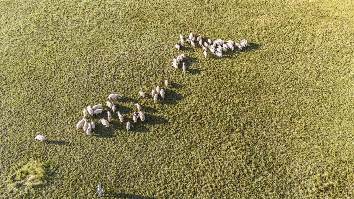 Van'da inşa edilecek Çubuklu Barajı'yla 5 bin hektar arazi suyla buluşturulacak