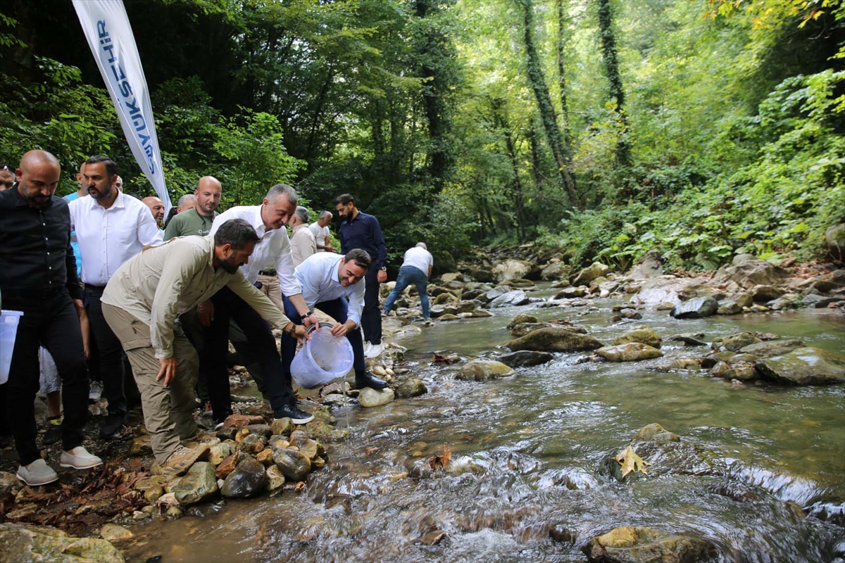 Kocaeli'de dereye 8 bin kırmızı benekli alabalık yavrusu bırakıldı