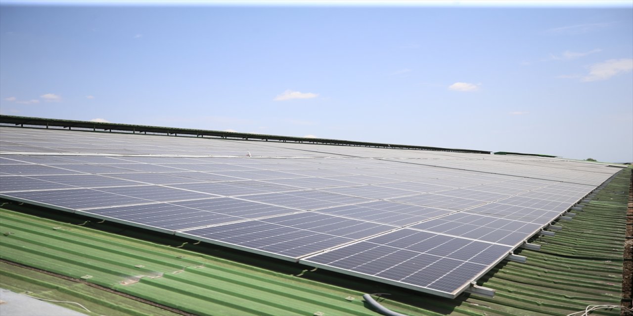 Kırklareli'nde süt üretim işletmesi elektrik ihtiyacını devlet desteği ile kurduğu güneş enerji santralinden (GES) karşılıyor.