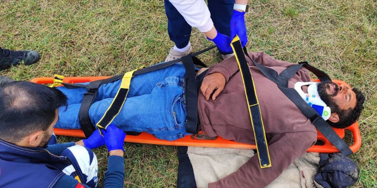 Kars'ın Sarıkamış ilçesinde, yıldırım düşmesi sonucu hayvan otlatan iki çoban hafif yaralandı.