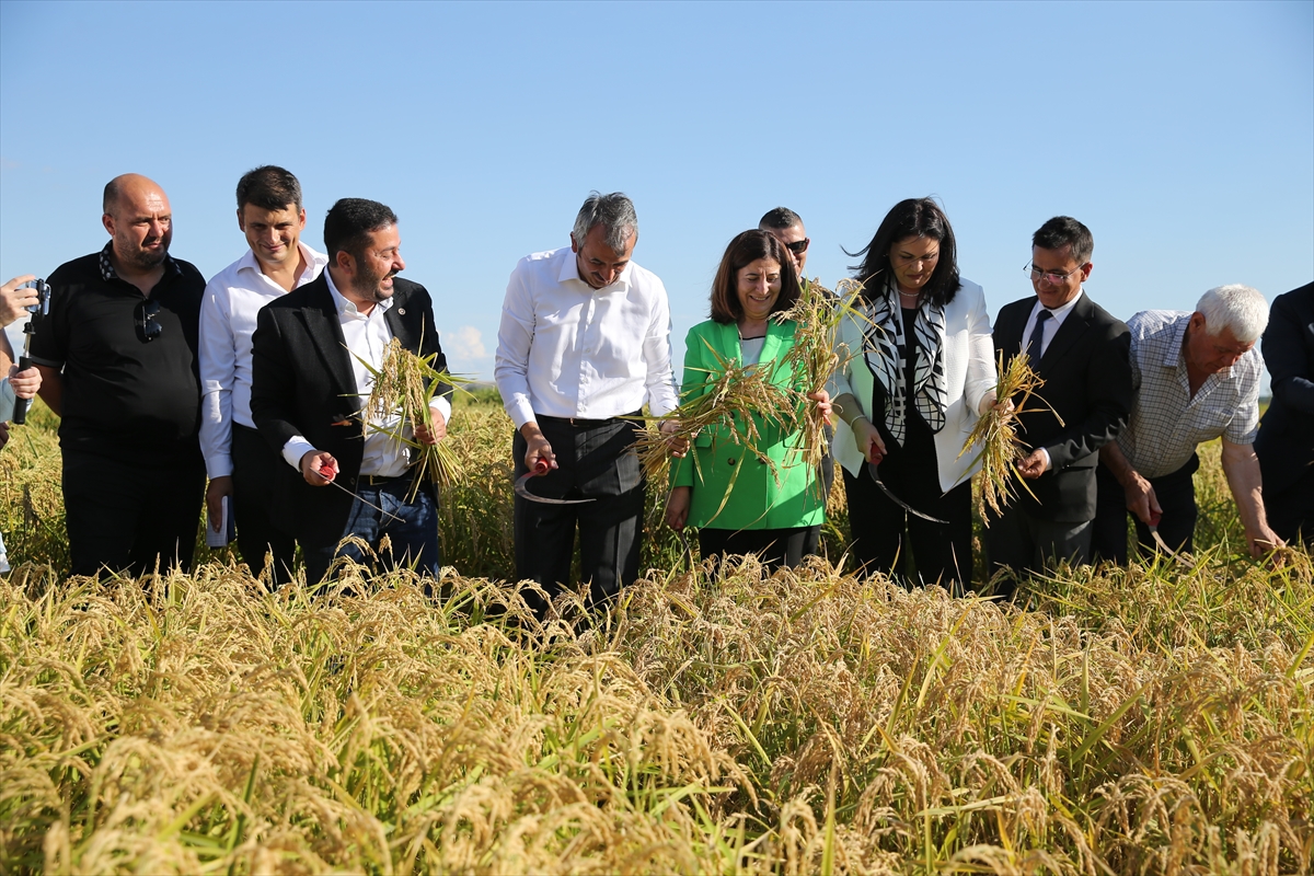 Edirne'de "Çeltik Tarla Günü" etkinliği düzenlendi