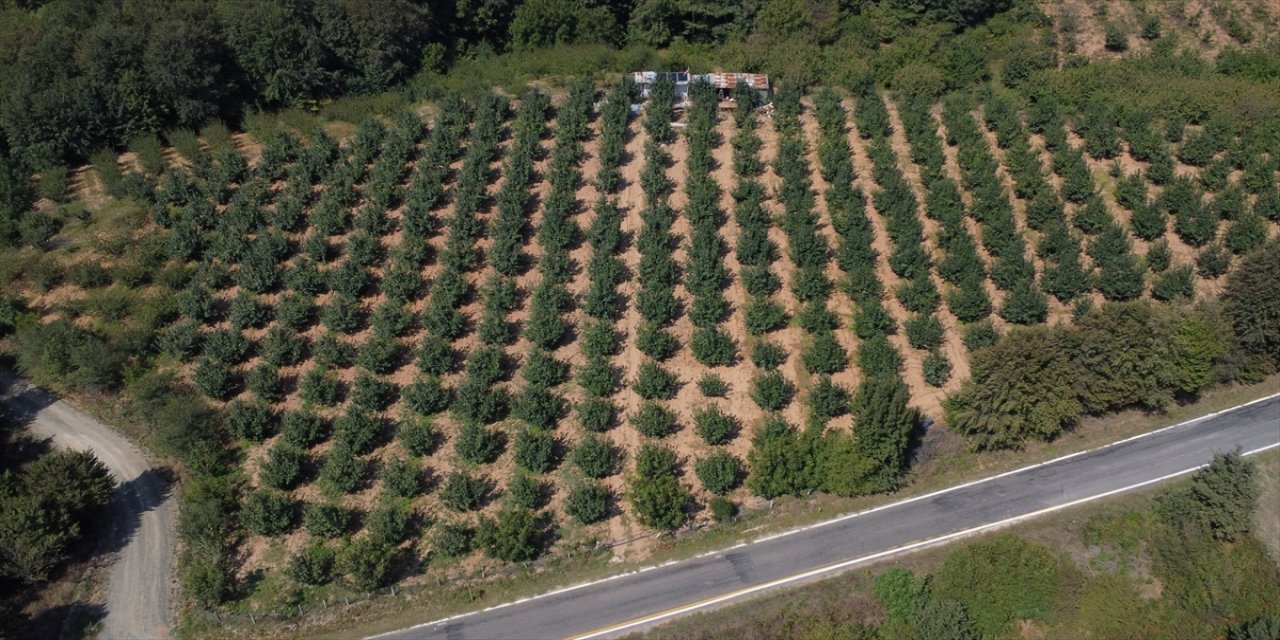 "Daha önce sulama yaparken yakıt biter korkusuyla bahçemden ayrılamıyordum, şimdi öyle bir derdim kalmadı."