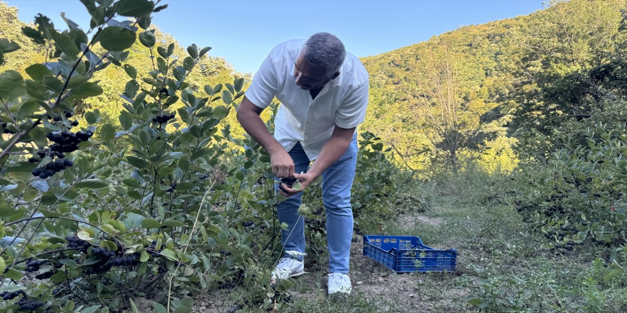 "Pandemiyle beraber hayatın geçici olduğunu ve büyükşehir stresinin çekilmemesi gerektiğine karar verdim"