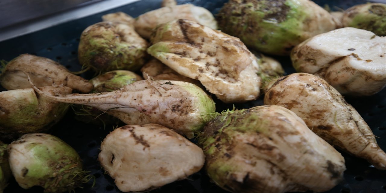 Kayseri Şeker bünyesinde faaliyet gösteren Kayseri, Boğazlıyan ve Turhal şeker fabrikalarında 2024-2025 kampanya dönemi başladı.