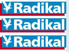 Radikal gazetesi Başbuğ'u yalanladı!