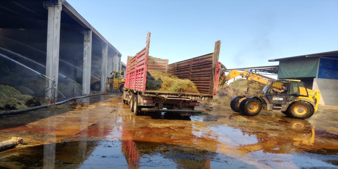 Amasya'da çiftlik deposunda çıkan yangın hasara yol açtı.