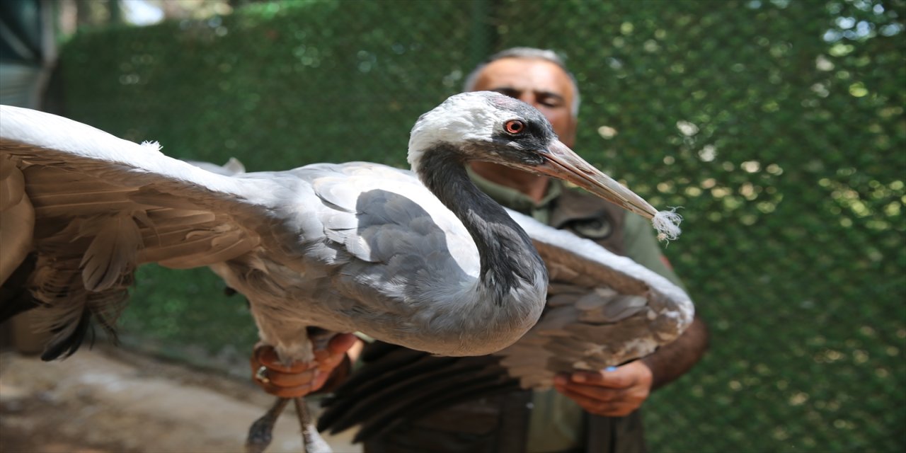 "Yaptığımız bütün müdahalelere rağmen gözlerini kurtaramadık"