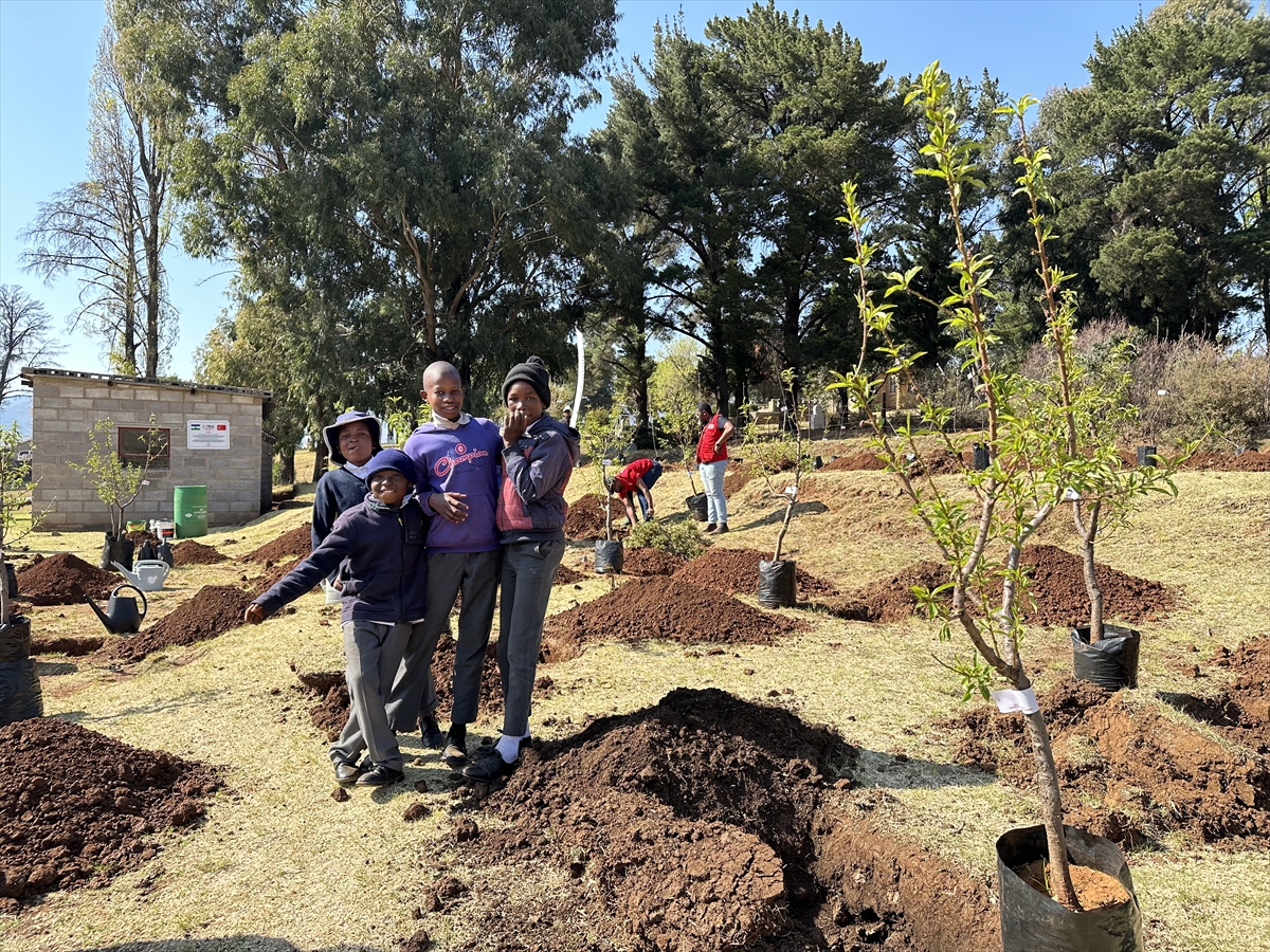 TİKA, Lesotho Krallığı'na 2 bin fidan hibe etti