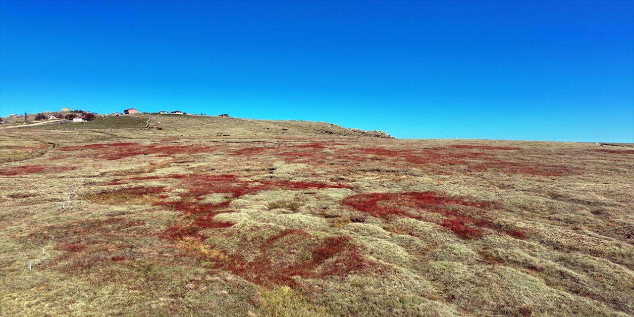 "Dede Korkut Hikayeleri'nde geçen Bamsı Beyrek'in geçmek zorunda olduğu bataklık, Ağaçbaşı olarak tanımlanıyor"