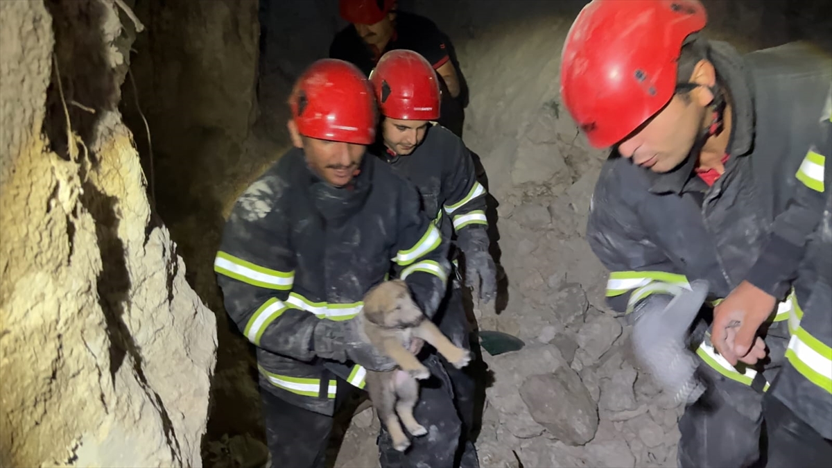 Çorum'da arazideki yarığa düşen köpek yavruları kurtarıldı