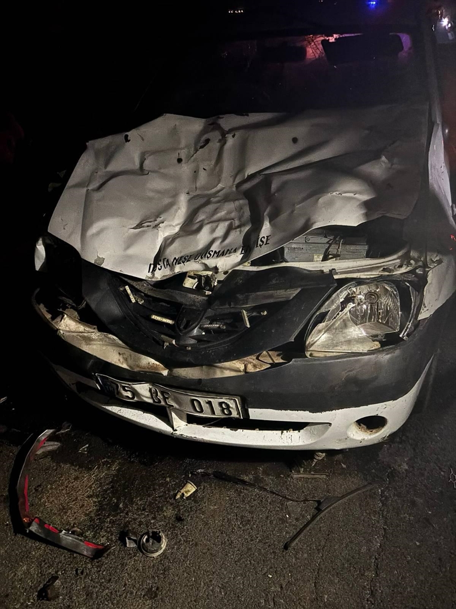 Ardahan'da trafik kazasında 2 kişi yaralandı