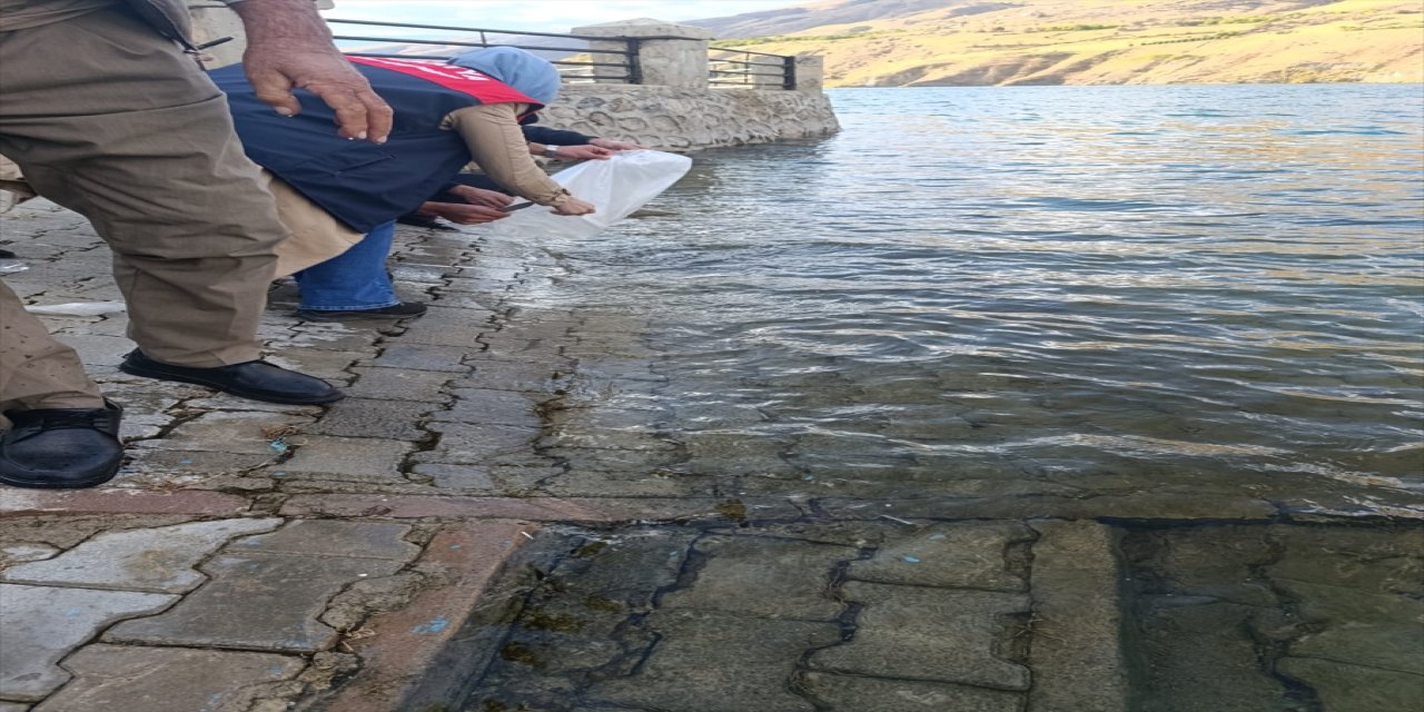 Malatya'da Tarım ve Orman İl Müdürlüğünce Karakaya Baraj Gölü'ne 750 bin balık yavrusu bırakıldı.