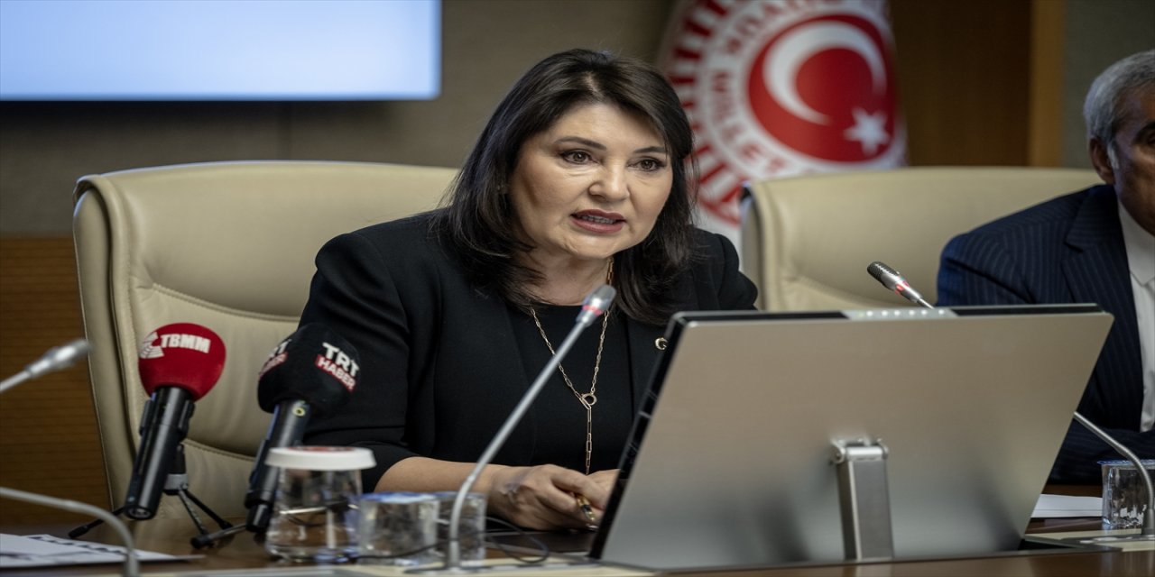 Kamu başdenetçisi adayları belirlendi