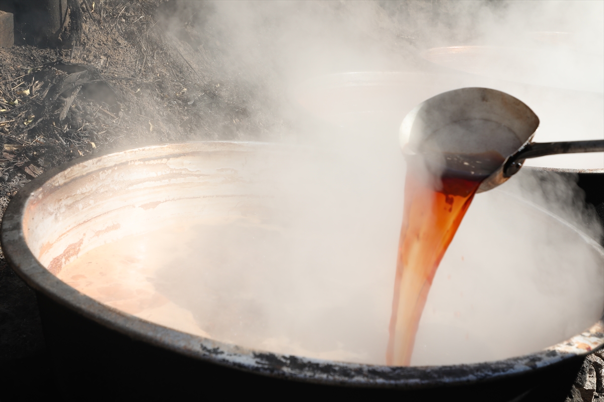 Toroslar'dan sofralara uzanan lezzet "andız pekmezi"