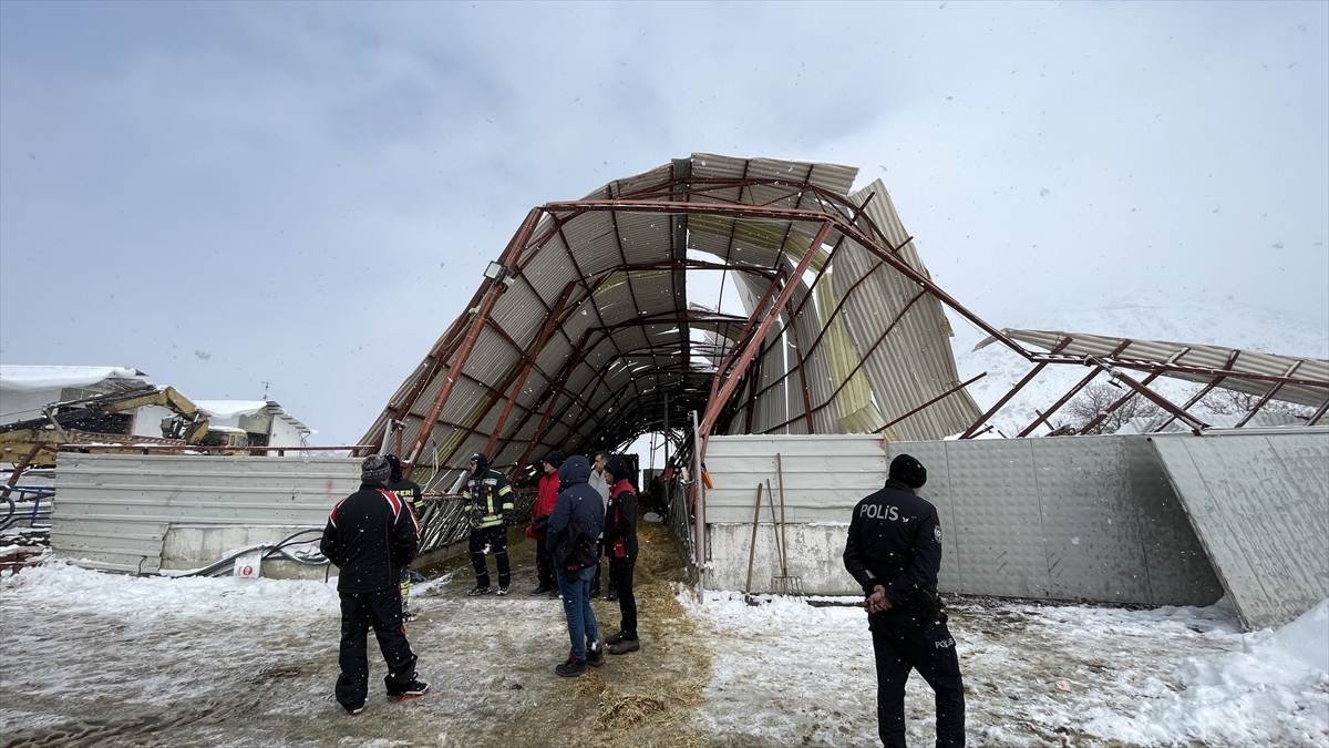 Kayseri'de çatısı çöken ahırdaki 30 büyükbaş hayvan telef oldu