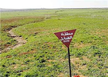 Hükümet mayın tasarısını geri çekti