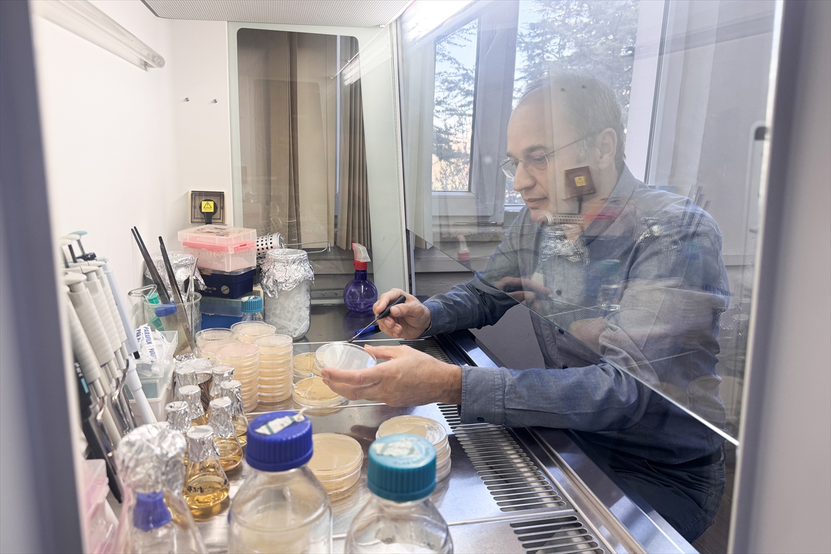 Bakteriyel gübre çalışmalarıyla hem verim artacak hem kimyasal kalıntı azalacak