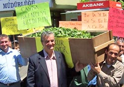 Çay Tabutun İçine Girdi?