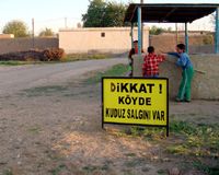 Erzincan'da kuduz karantinası