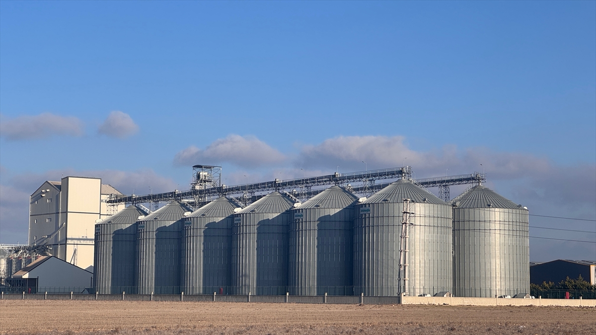 Lisanslı depoculuk büyüme trendinde