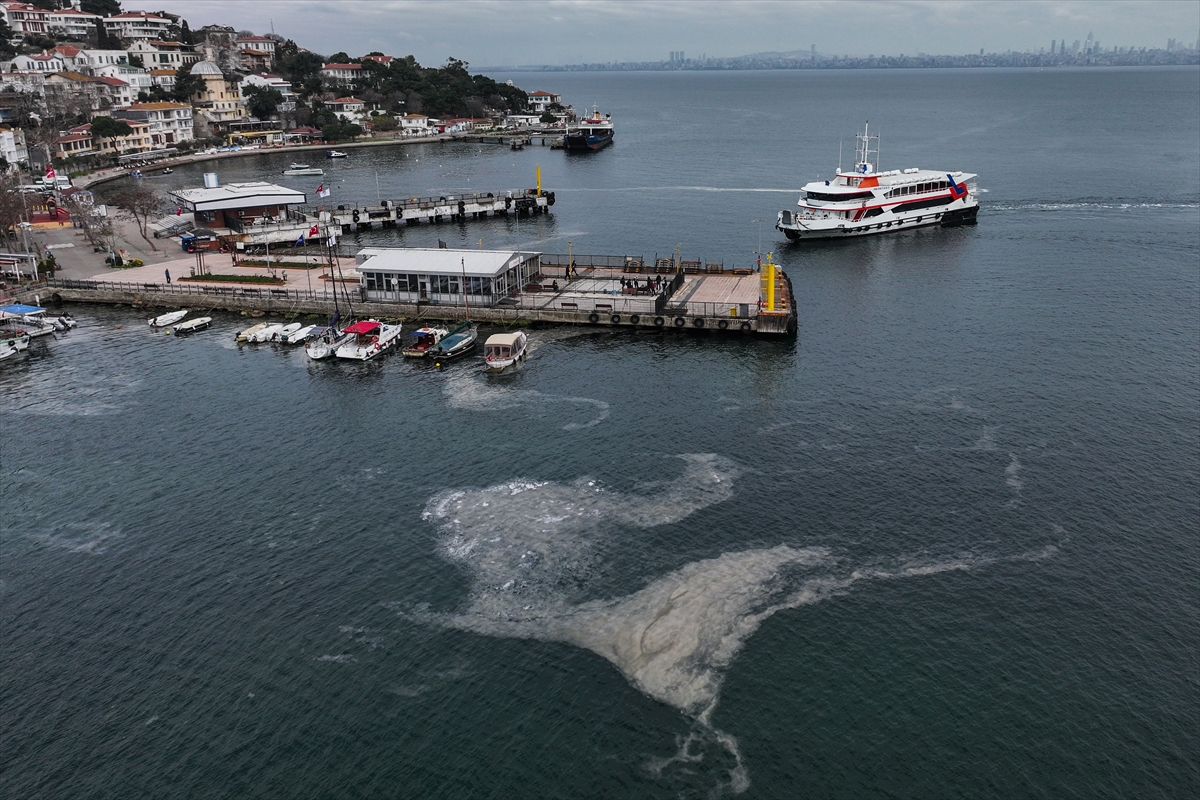 Adalar bölgesinde müsilaj görülmeye devam ediyor