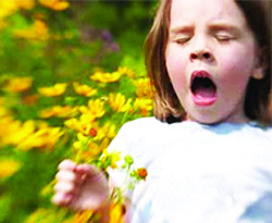 Polenler Hangi Ayda Etkili Oluyor