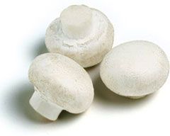 Doğal zayıflama ilacı mantar