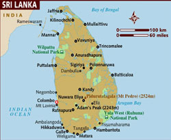 Domuz Gribi Sri Lanka'ya ulaştı