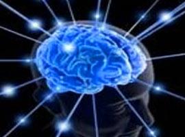 Beyinle ilgili doğru bilinen 10 yanlış