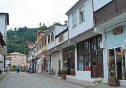 HEMŞİN YIKILIP YENİDEN YAPILACAK!