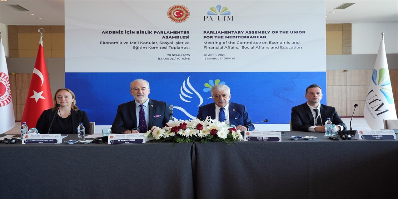 AİBPA İstanbul toplantısında Akdeniz'deki göçün ekonomik ve sosyal etkileri ele alındı