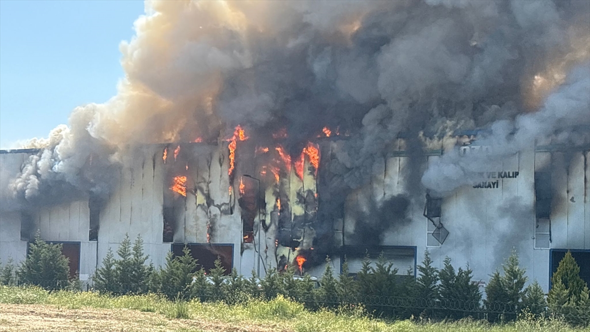Tekirdağ'da Kauçuk ve Kalıp Üretimi Yapan Fabrikada Yangın Çıktı