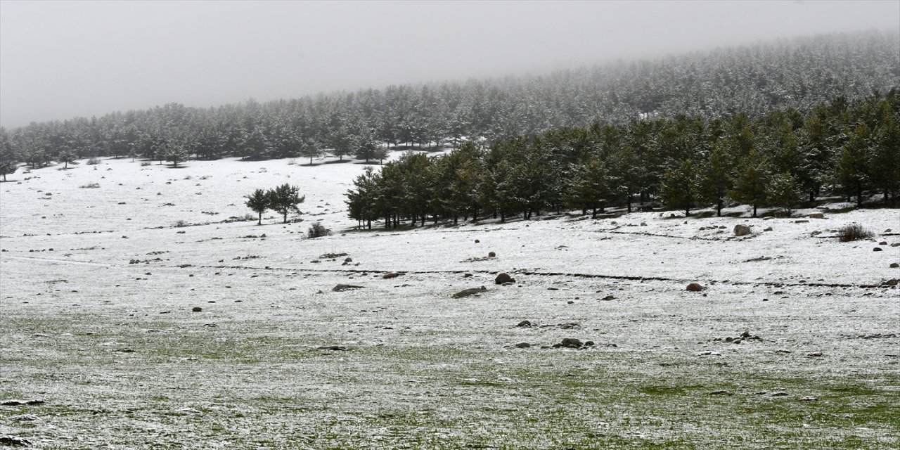 Sarıkamış'ta Mayıs Karı: Doğa Beyaza Büründü