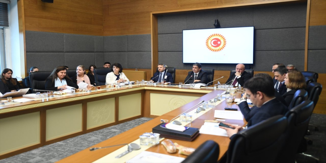 TKYB Genel Müdürü Öztop: Banka aktifleri Mart 2025’te 160 milyar liraya ulaşacak, net kar %70 arttı