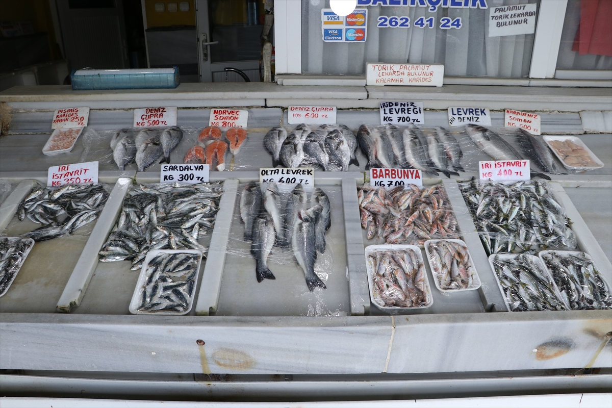 Tekirdağ'da küçük teknelerle balık bereketi sürüyor