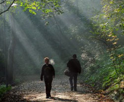 Bel sağlığınız için yürüyün!