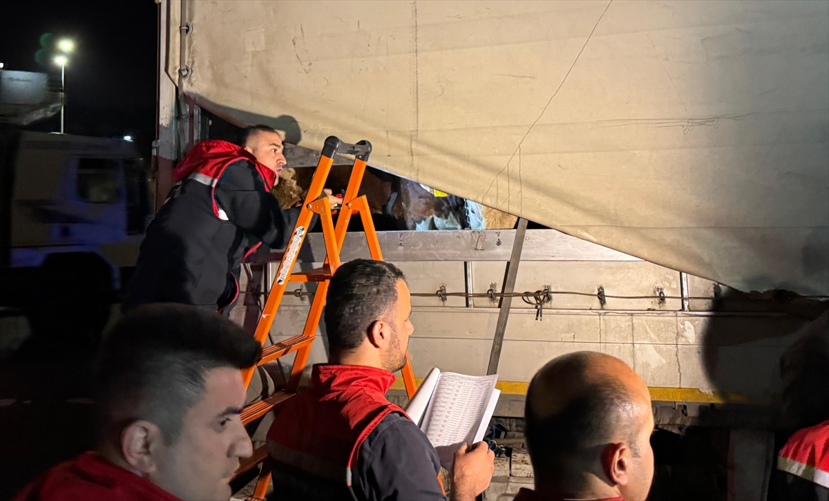 İstanbul'a kurbanlık hayvan girişleri başladı