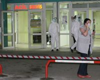 Domuz gribinden 9. ölüm!