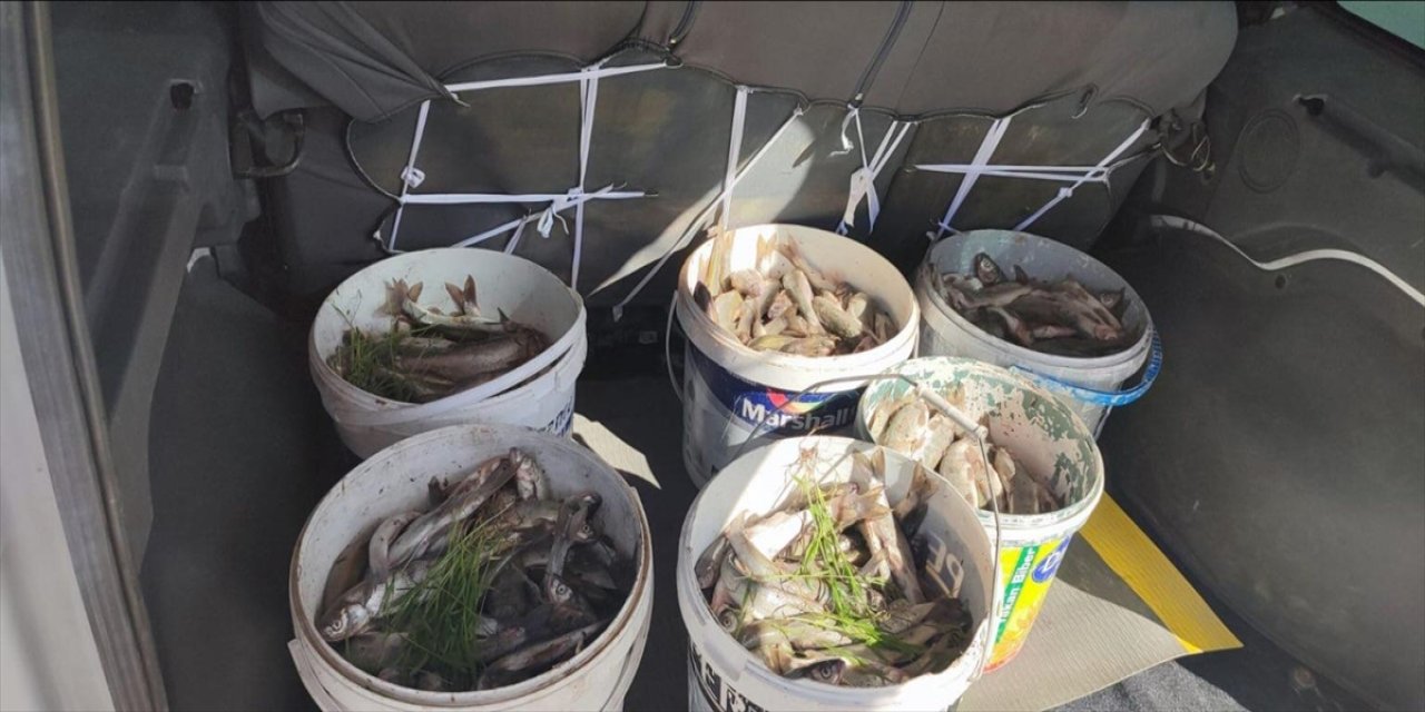 Van Gölü’nde Kaçak Avlanan 29 Kişiye 621 Bin Lira Ceza